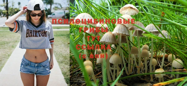 меф Вяземский
