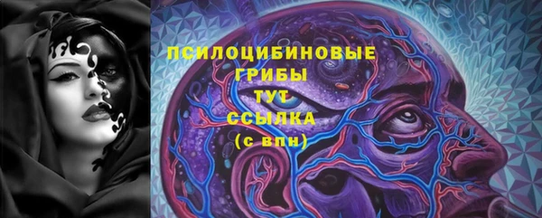 меф Вяземский